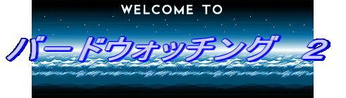 �o�[�h�E�H�b�`���O�@�Q