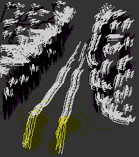 ��̎R���ł̃A�N�V�f���g